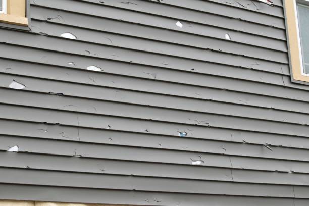 Professional Junk Removal in Coyne Center, IL